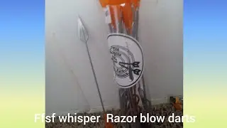 whisper Razor blowgun hunting darts#whisper razor darts