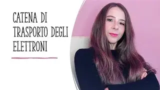 Catabolismo del glucosio: catena di trasporto degli elettroni e fosforilazione ossidativa
