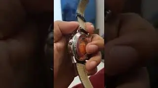 Tevise 867A Automatic Watch (Close Look)