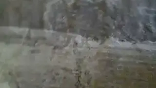 Skunk odor in Oriental Rugs completely removed at RugMasters