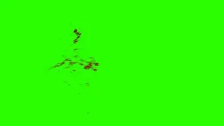 Green Screen Blood Hits