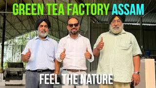 Green tea factory mein kaise banta hai | mini green tea factory | Amazing green tea factory at Assam