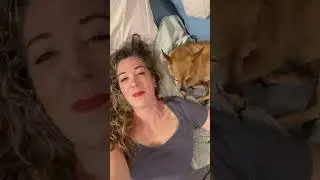 Singing Dog INSISTS he&rsquo;s Joni Mitchell&hellip;😂🤦🏻&zwj;♀️💕
