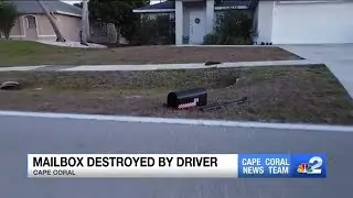 Mailbox destroyed in Cape Coral hit-and-run crash