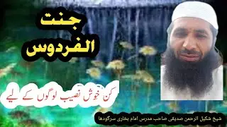 JANNAT kin khush Naseeb logo ky lie|muhammadi channel |Sheikh shakeel ul rehman |