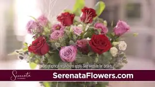 Send Happiness this Christmas with Serenata Flowers