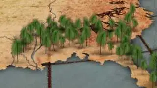 Restoring a natural wonder: the longleaf pine forest