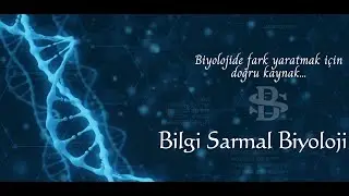 Bir Konu Bir Soru Fermantasyon