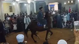 افراح ال زبيبي اولاد عليو