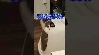 Funny And Epic Cat Moment Caught On Camera! Try Not To Laugh!  #cat