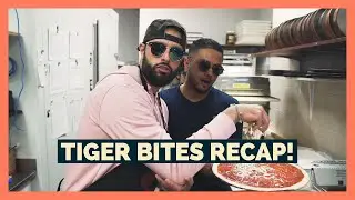 TIGER BITES : Season 1 Recap