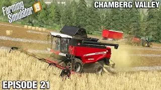 ARE SOYBEANS WORTH MORE AS BIODIESEL? - Chamberg Valley FS19 Ep 21