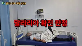 🇹🇿[탄자니아 여행 10편] 우려했던 일이 결국은 터졌다! 말라리아 감염의 고통 아프리카 여행 일시 중단 상태