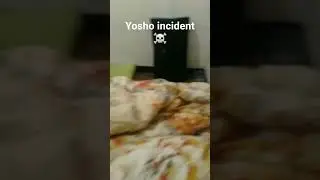 Yosho incident #memes #funny #explosion #duet #comedy