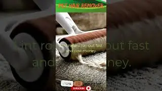 Portable Fur Remover for Pets - ChomChom Pet Tool #ChomChomRoller #PetHairRemover