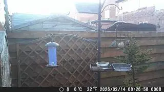 Garden Trail Camera 14th February 2026