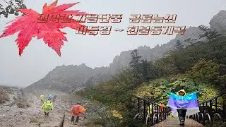 설악산의 가을풍경, 마등령등산코스 공룡능선단풍 천불동 계곡산행 우중산행 기록