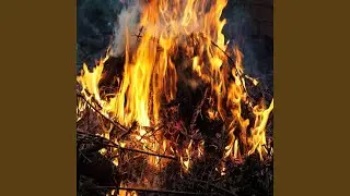 Healing the Witch Wound