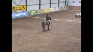 Brązowa odznaka jeździecka.ujeżdżenie