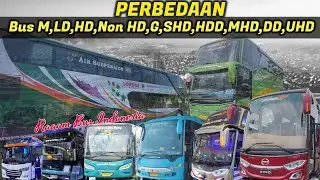 Perbedaan Bus M, LD, Non HD, HD, Gandeng, SHD, HDD, MHD, DD dan UHD