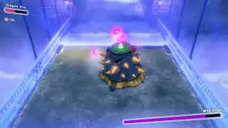 Kirby & The Forgotten Land - Wild Edge Fight On Bridge
