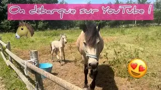Notre nouvelle vie en bus 🚌 venez &agrave; notre rencontre 😊
