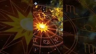 Curious About This Gem? Watch the Full Video Now! Link in Description.