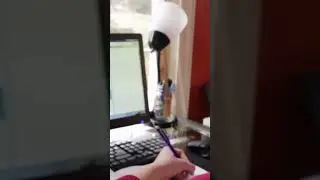 Online Public School at Home in Colorado