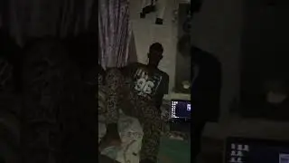 Aligo débo