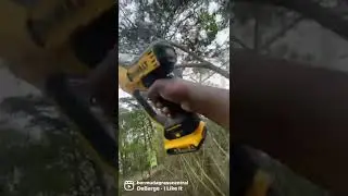 Dewalt PRO PRUNERS !!
