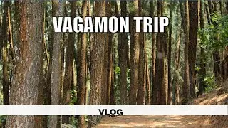 VAGAMON | PINE VALLEY | 1day trip | with family | BRO TECZ