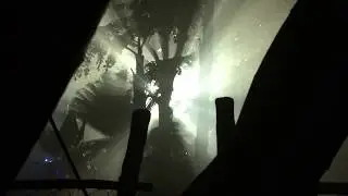 Free Stock Footage 2017 Scary Tropical Jungle