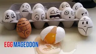 The Solution to the Egg Shortage