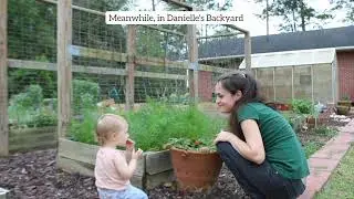 Planting bush green beans, pickling cucumbers, and zucchini!