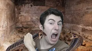 SO MANY SNAKES I Room of 1000 snakes