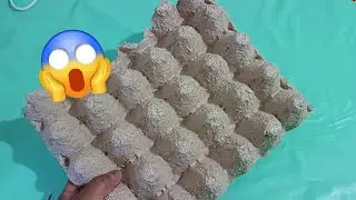 Mira lo que hice con la idea creativa de las carton de huevos 