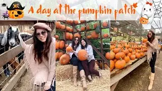 TRAVEL VIBES | USA - A day at Live Oak Canyon pumpkin patch 2022 -Trang trại b&iacute; lớn nhất Nam Cali