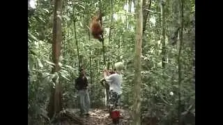 2009 15 Indonesia Sumatra Bohorok