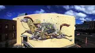 Dunedin Street Art | Insiders Dunedin