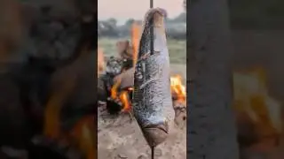 🔥 Spicy Fish Saji | Traditional BBQ Style 🐟