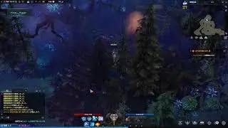 LOST ARK C&Beta;T