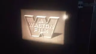 Noveltoons - Hep Cat Symphony (1949) (Walton Print) Super 8mm Sound Print (HQ)