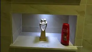 Bathroom Niche Shelf Ideas bathroom design ideas