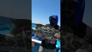 Bellos animales #fishing #pesca #fish #lineadepesca