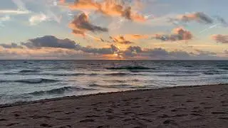 Our Second Cruise Caribbean January 2020 | Jamaica | Florida | Bahamas | Mexico | Cayman Islands
