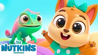 Colors Mystery! 🌳🎨  Who changed the colors? | The Nutkins - Mini Adventures