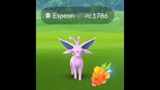 ESPEON RAID PC 1786