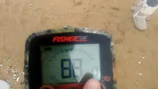 Fisher f19