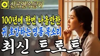최신트로트🎤 귀가 호강하는 목소리, 아픈 마음을 위로하는 국악 트로트 | 그냥 틀어두세요 | 감성 트로트 | 중독주의 | #7080 #트로트핏