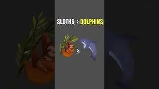 &ldquo;Sloths hold breath longer than dolphins 🦥🐬 #facts&rdquo;